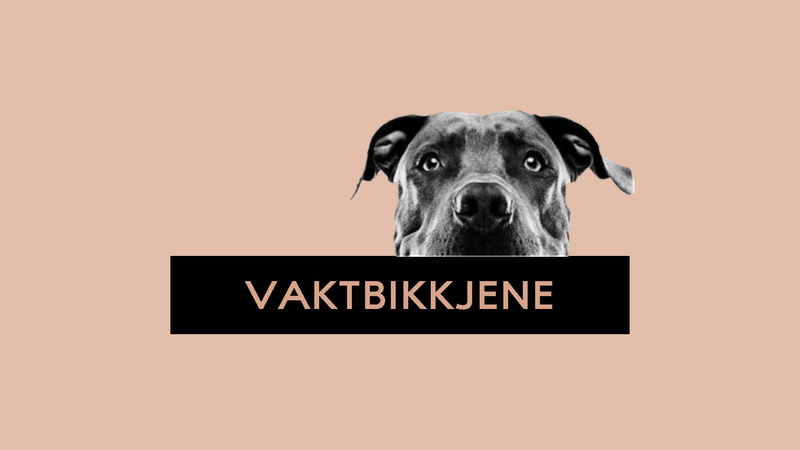 Bilde med teksten vaktbikkjene og bilde av en hund
